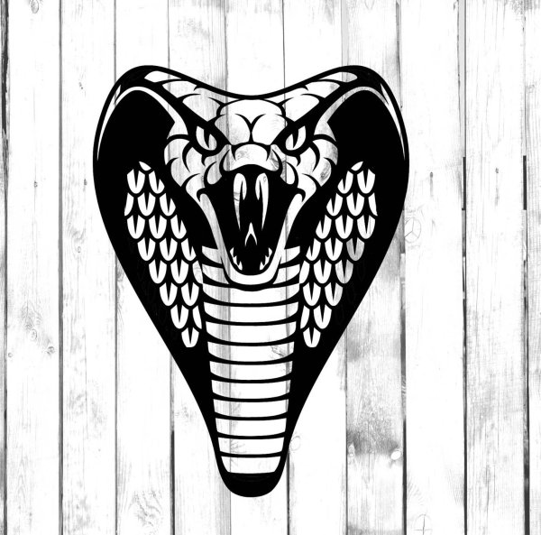 Змея анфас с открытым ртом