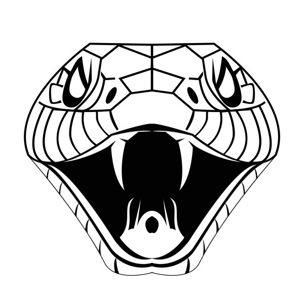 Голова кобры эскиз