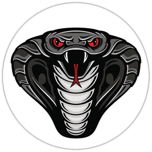 Голова змеи