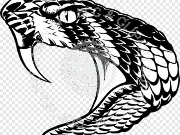 Эскиз тату змея с открытой пастью