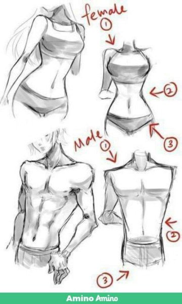 Тутор по рисованию пресса