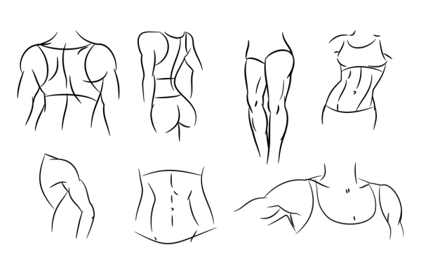 Очертания женского пресса