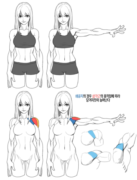 Аниме Телосложение девушки