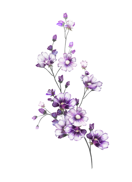 Фиолетовые цветочки на белом фоне