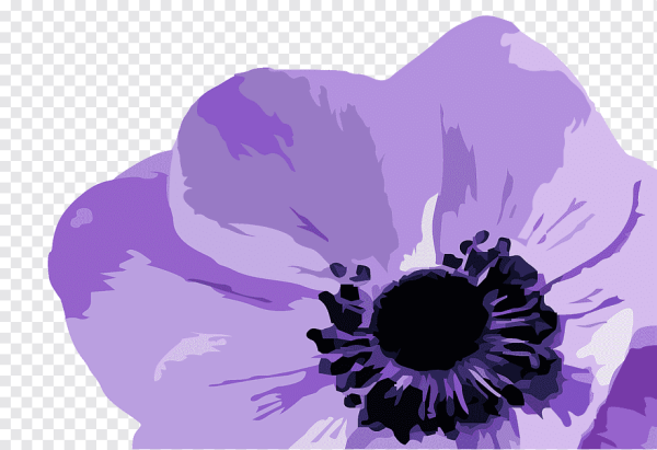 Нарисованные фиолетовые цветы