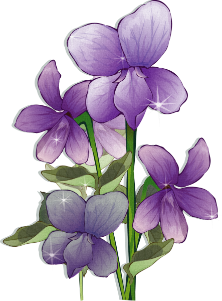 Фиолетовые цветы на прозрачном фоне