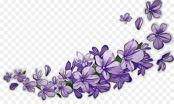 Сиреневые цветы на прозрачном фоне