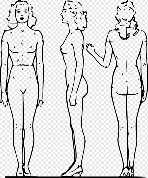 Женская фигура