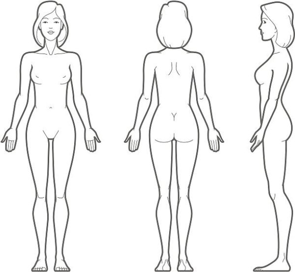 Контур женского тела