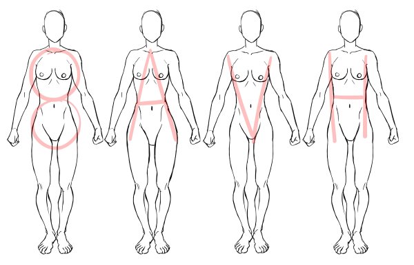 Тело девушки рисунок
