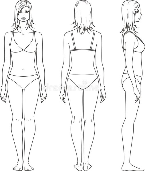 Женская фигура схематично