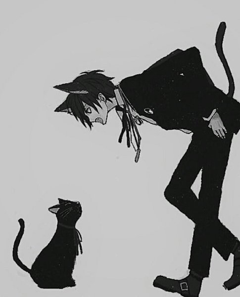 Аниме кот человек