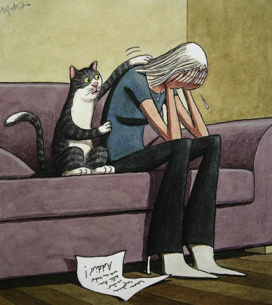 Очеловеченный кот