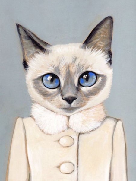 Человек кот рисунок