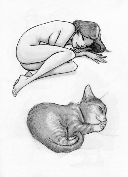 Котики арты