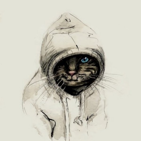 Хизер Метун