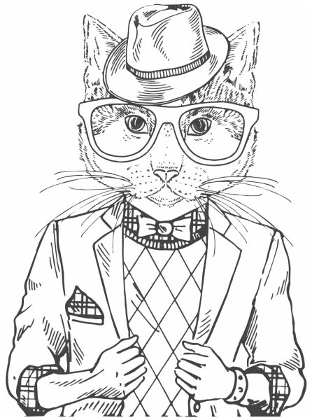 Аниме человек кот парень