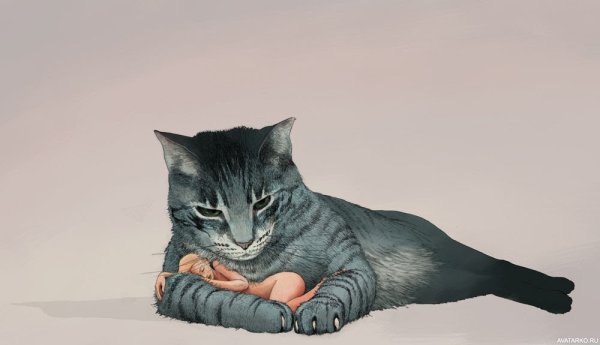 Парень с кошачьими ушами и хвостом арт