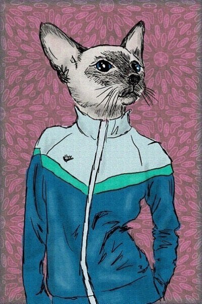 Позы для рисования человек с котом