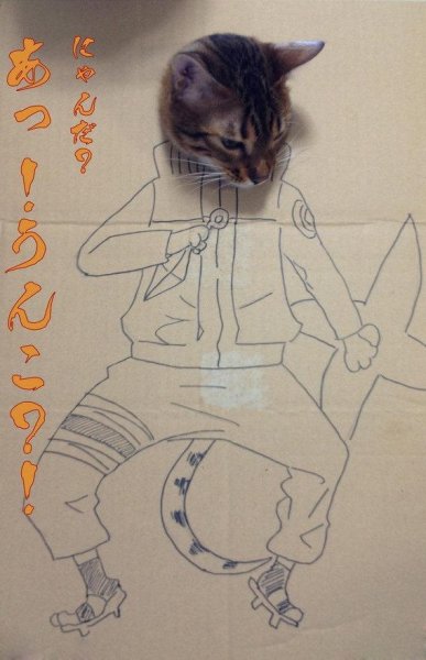 Брутальный котик