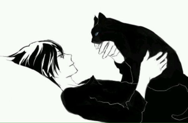 Нарисовать девушку кошку