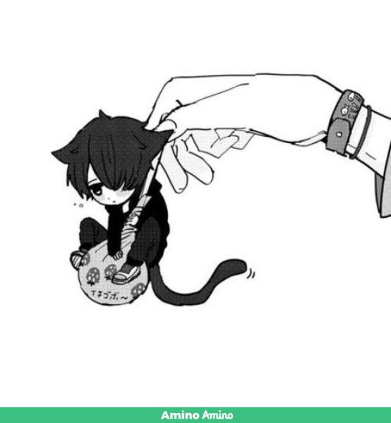 Красивые персы арт