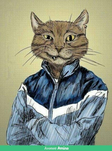 Человек и кошка силуэт