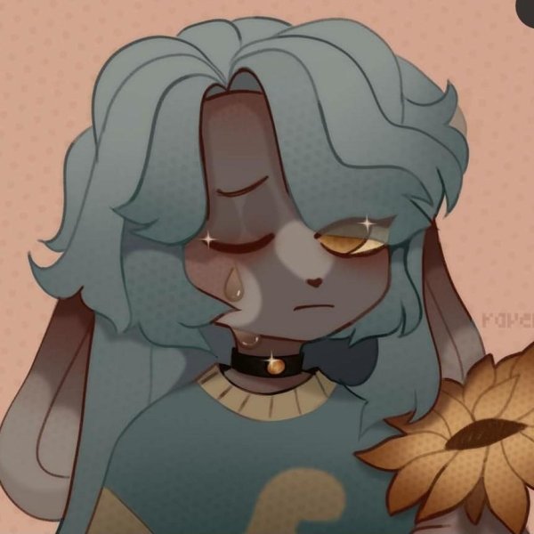 Sweetavrorafox арты