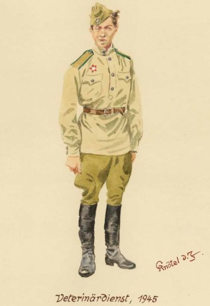 Нарисованаявоенная форма