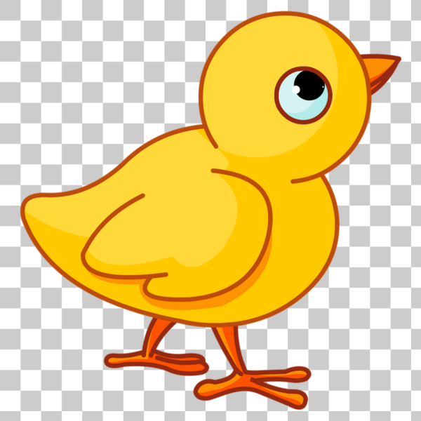 Птенец карандашом