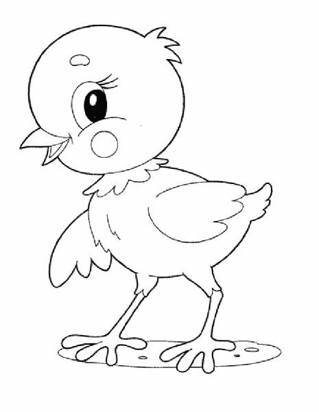 Цыпленок раскраска для малышей