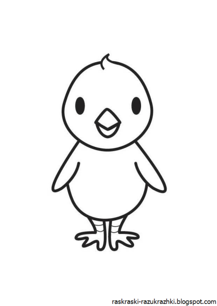 Цыпленок черно белый