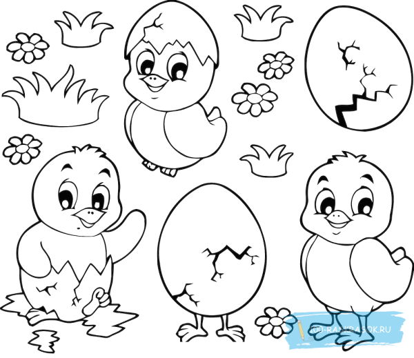 Цыпленок в скорлупе