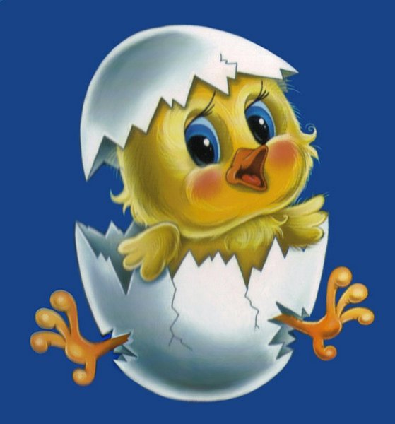 Птички в гнездышках