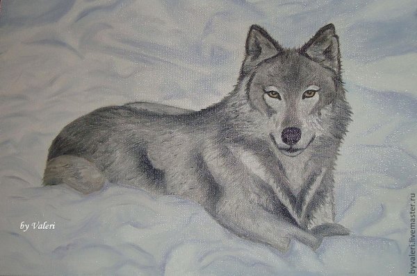 Джек Лондон белый клык рисунки