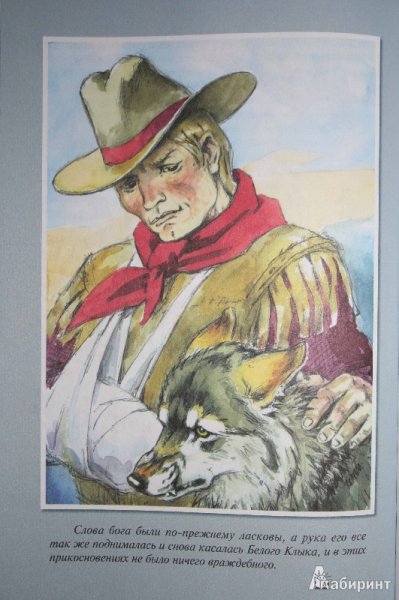 Джек Лондон белый клык иллюстрации