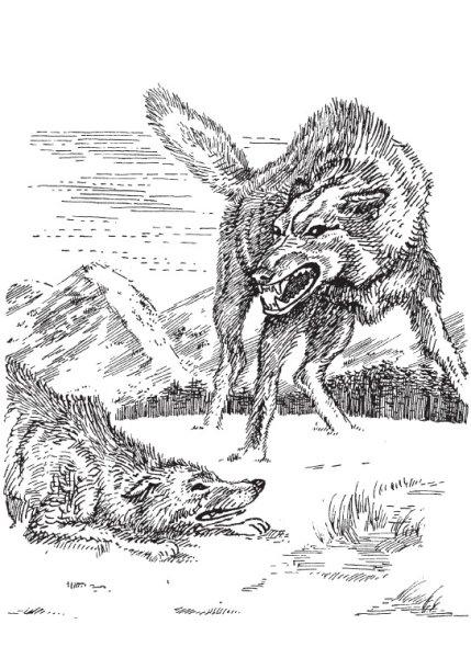 Джек Лондон "белый клык"