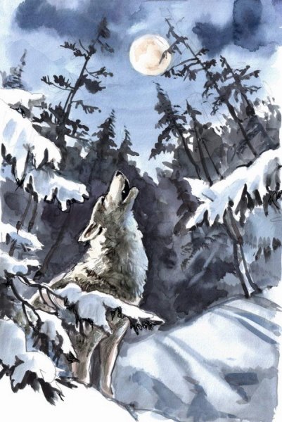 Джека Лондона «белый клык» к 115л