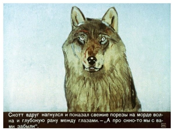 Белый клык Уидон Скотт