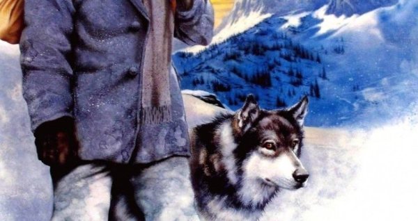 Белый клык Джек Лондон диафильм