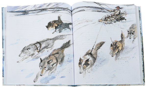 Джек Лондон белый клык иллюстрации