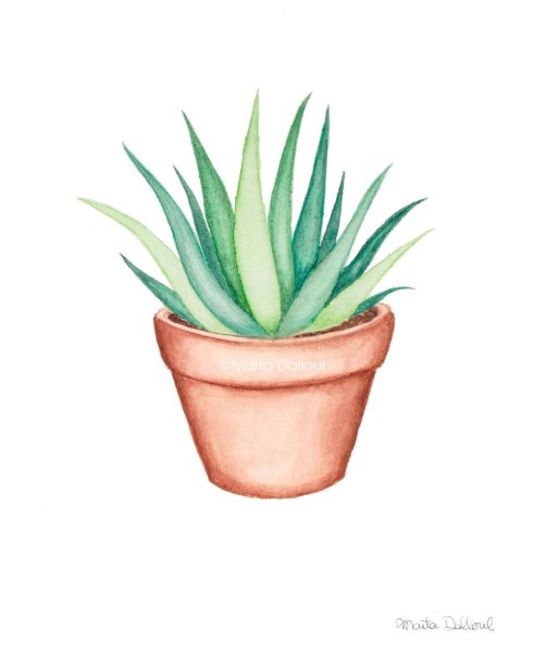 Нарисовать растение в горшке