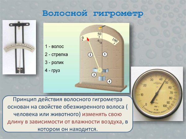Прибор гигрометр география 5 класс