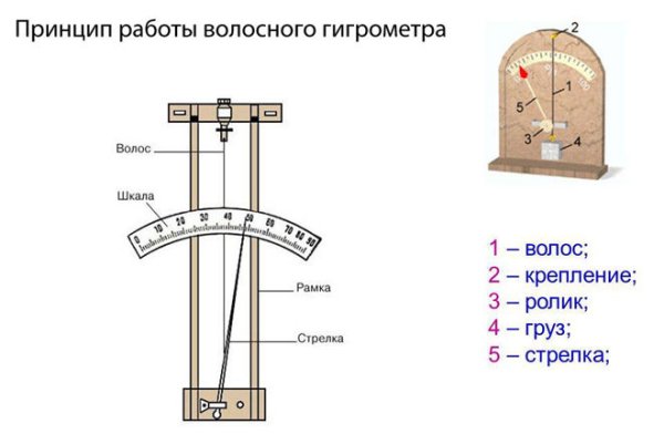 Волосяной гигрометр принцип работы и устройство
