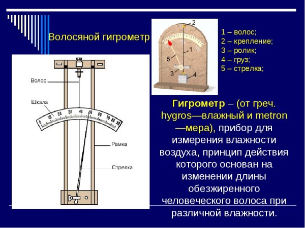 Гигрометр Леонардо да Винчи