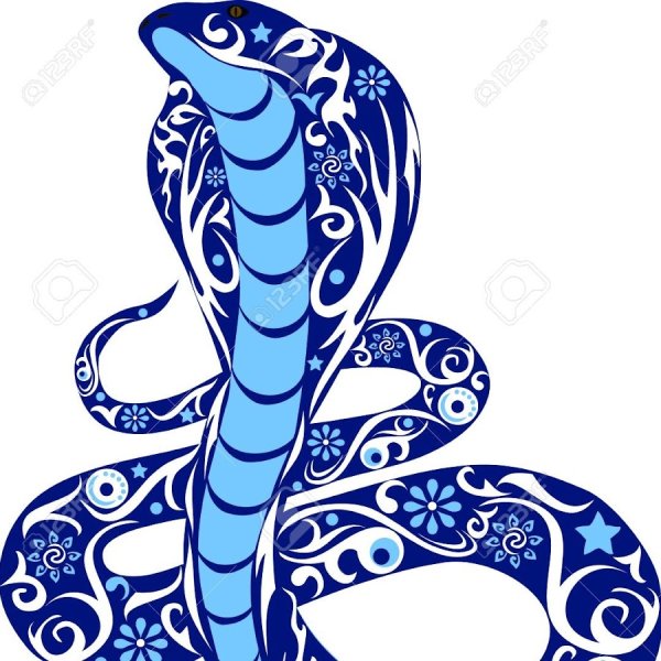 Голубая змея на белом фоне