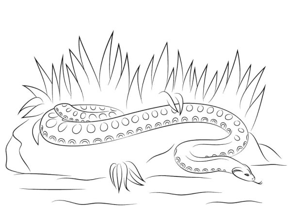 Раскраска у Бажова голубая змейка