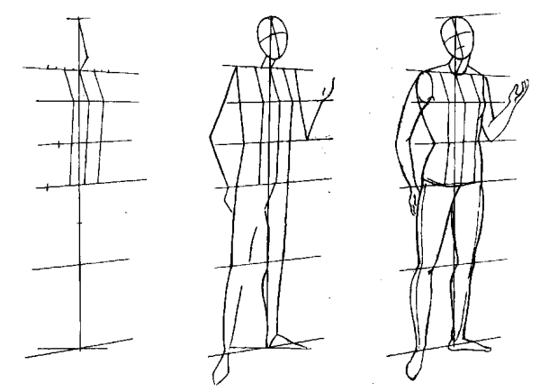 Пропорции тела человека рисунок