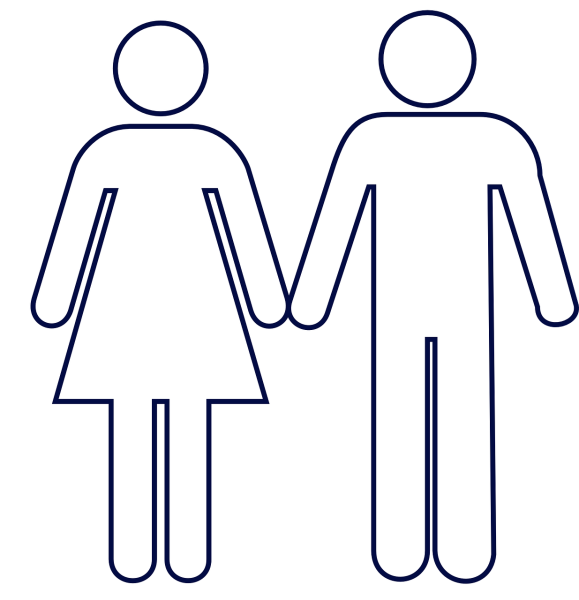 Анатомия для художников пропорции тела