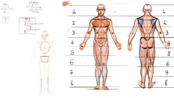 Схема рисования человека для детей дошкольного возраста